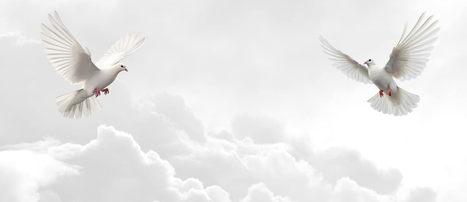 doves-bg