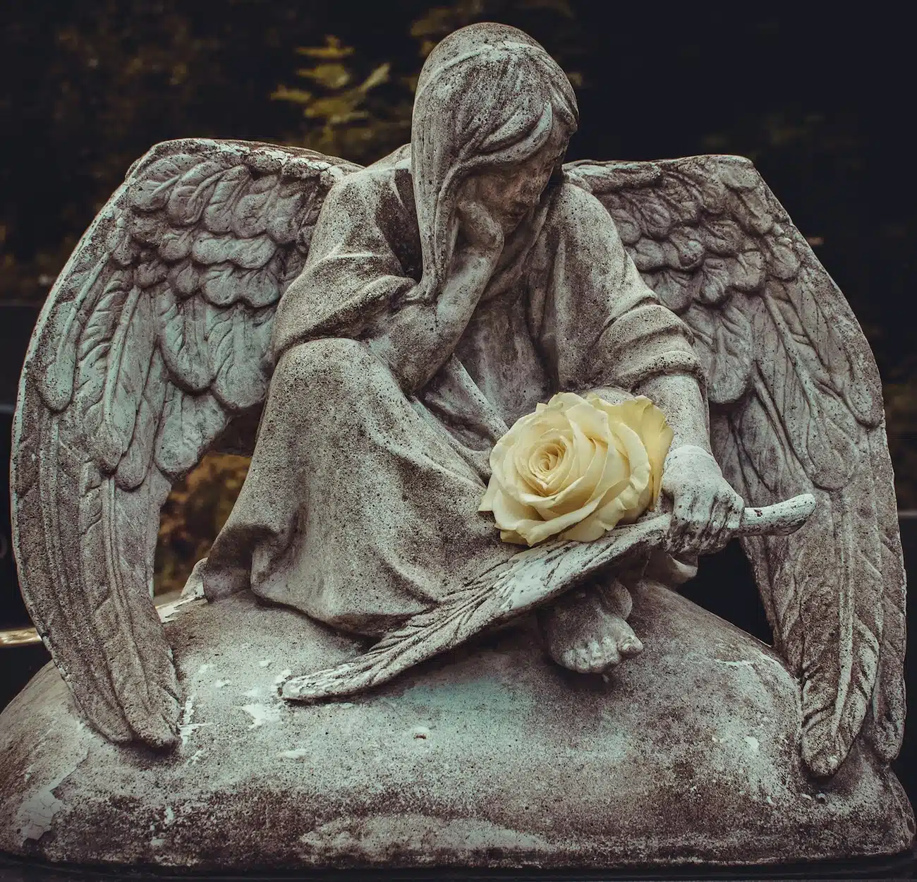 Grieving angel statue holding a rose in a garden